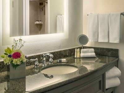 bathroom - hotel doubletree by hilton austin - austin, texas, united states of america