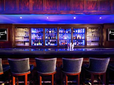 bar - hotel algonquin - new york, united states of america