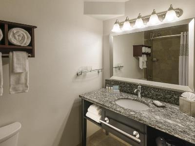 bathroom - hotel hampton inn downtown/magnificent mile - chicago, united states of america