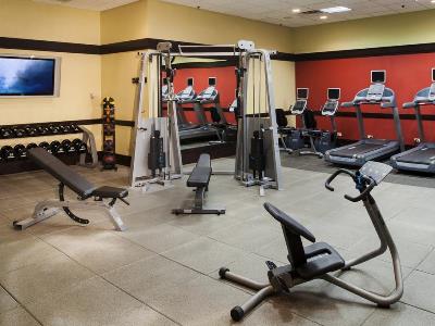 gym - hotel doubletree chicago magnificent mile - chicago, united states of america