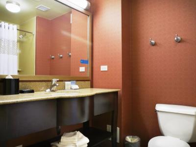 bathroom - hotel hampton inn majestic theatre district - chicago, united states of america