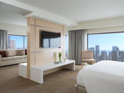 suite 1 - hotel marriott downtown magnificent mile - chicago, united states of america