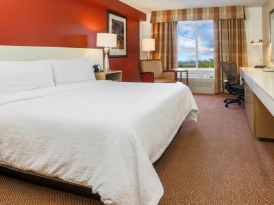 bedroom 1 - hotel hilton garden inn anchorage - anchorage, united states of america