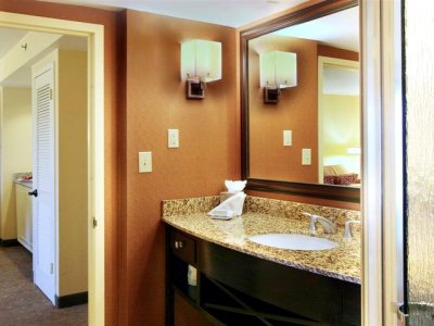 bathroom - hotel doubletree suites at the battery atlanta - atlanta, georgia, united states of america
