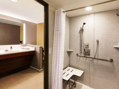 bathroom - hotel embassy suites atlanta airport - atlanta, georgia, united states of america