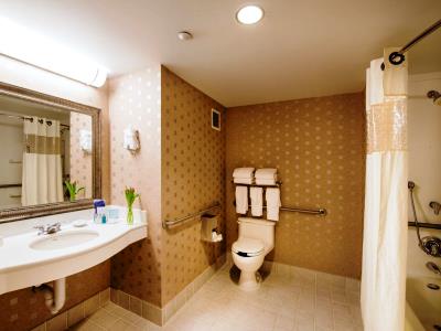 bathroom - hotel hampton inn and suites crosstown center - boston, united states of america