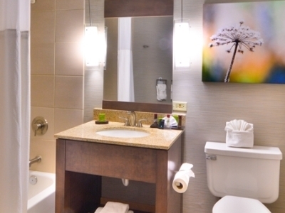 bathroom - hotel embassy suite hilton denver central park - denver, colorado, united states of america