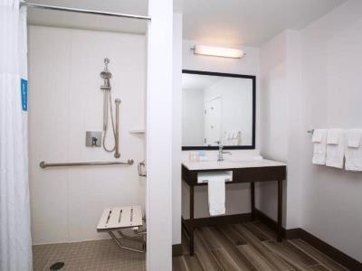 bathroom 1 - hotel hampton inn and suites denver downtown - denver, colorado, united states of america