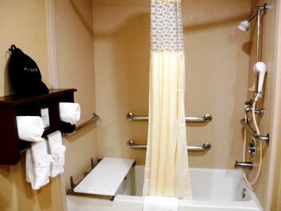 bathroom 1 - hotel hampton inn denver international airport - denver, colorado, united states of america