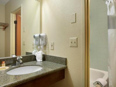 bathroom - hotel days hotel by wyndham flagstaff - flagstaff, united states of america