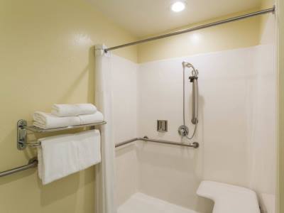 bathroom 1 - hotel days inn n ste by wyndham east flagstaff - flagstaff, united states of america