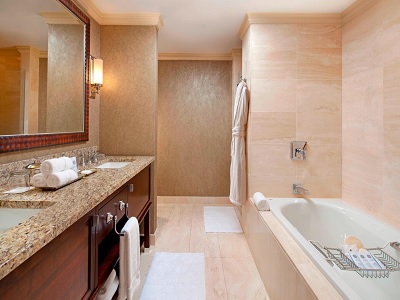 bathroom 1 - hotel st regis - houston, united states of america