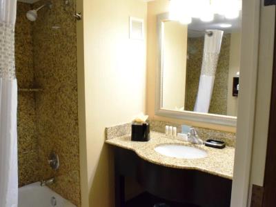 bathroom - hotel hampton inn houston i-10w energy cor - houston, united states of america