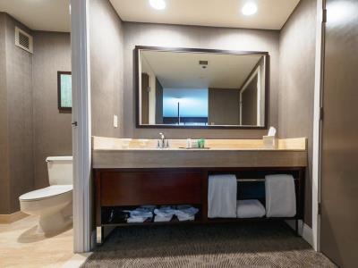 bathroom - hotel hilton houston plaza medical center - houston, united states of america
