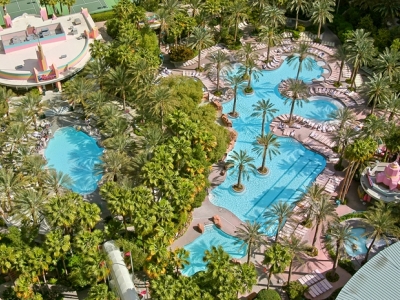 outdoor pool - hotel flamingo las vegas - las vegas, nevada, united states of america