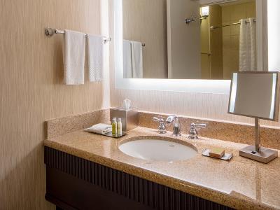 bathroom - hotel doubletree suites by hilton minneapolis - minneapolis, united states of america
