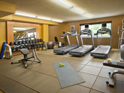 gym - hotel doubletree suites by hilton minneapolis - minneapolis, united states of america