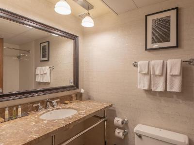 bathroom - hotel doubletree bloomington-minneapolis south - minneapolis, united states of america