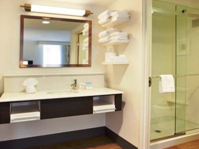 bathroom - hotel hampton inn suites minneapolis/downtown - minneapolis, united states of america