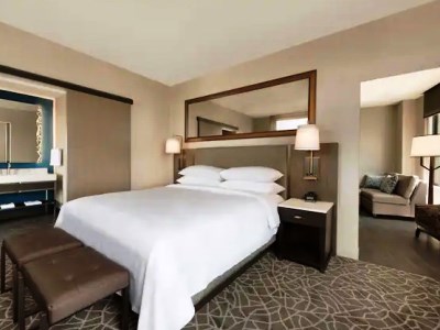suite - hotel embassy suites by hilton downtown - minneapolis, united states of america