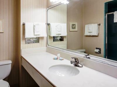 bathroom - hotel travelodge by wyndham monterey bay - monterey, united states of america
