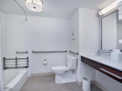bathroom - hotel hampton inn naples i-75 - naples, florida, united states of america