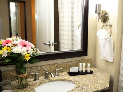 bathroom - hotel embassy suites nashville at vanderbilt - nashville, tennessee, united states of america