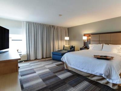 bedroom - hotel hampton inn bellevue nashville i-40 west - nashville, tennessee, united states of america