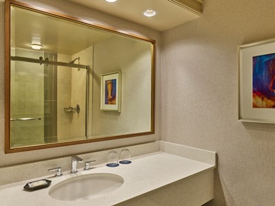 bathroom - hotel sheraton music city - nashville, tennessee, united states of america