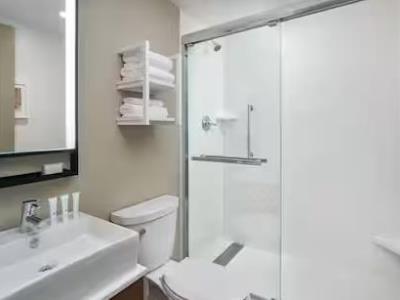 bathroom - hotel hampton inn ste canal st. french quarter - new orleans, united states of america