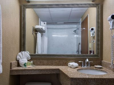 bathroom - hotel holiday inn downtown superdome - new orleans, united states of america