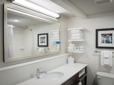 bathroom - hotel hampton inn st.charles ave./garden dist. - new orleans, united states of america