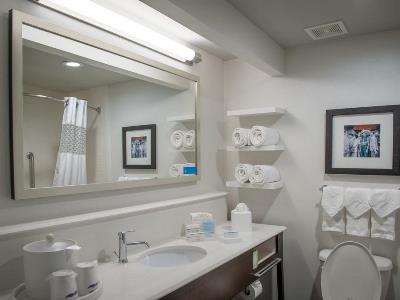 bathroom 1 - hotel hampton inn and suites convention center - new orleans, united states of america
