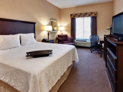 bedroom 1 - hotel hampton inn and suites airport natomas - sacramento, united states of america