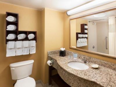 bathroom - hotel hampton inn and suites tampa ybor city - tampa, united states of america
