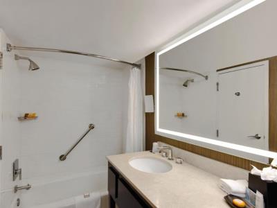 bathroom 1 - hotel hotel tampa riverwalk - tampa, united states of america