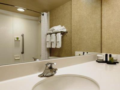 bathroom - hotel embassy suites usf near busch gardens - tampa, united states of america