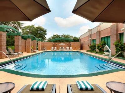 outdoor pool - hotel embassy suites usf near busch gardens - tampa, united states of america
