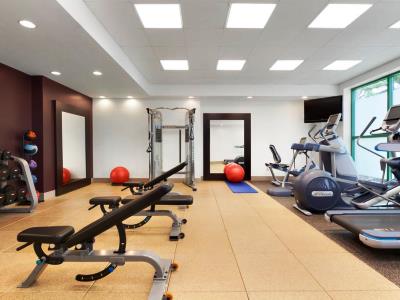 gym - hotel embassy suites usf near busch gardens - tampa, united states of america