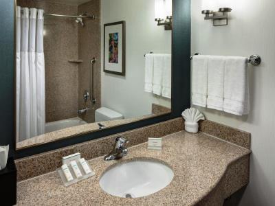 bathroom - hotel hilton garden inn tucson airport - tucson, united states of america