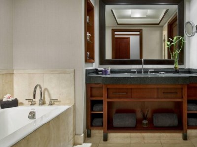bathroom - hotel ritz-carlton georgetown - washington, dc, united states of america