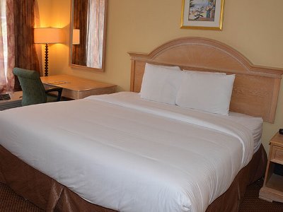 bedroom - hotel grand hotel orlando at universal blvd - orlando, united states of america