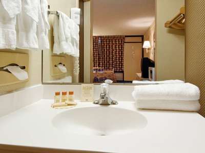 bathroom - hotel days inn conv. center/international dr - orlando, united states of america