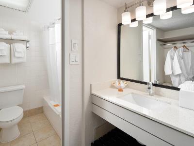 bathroom - hotel avanti palm resort and conference center - orlando, united states of america