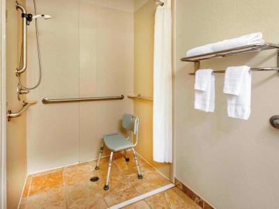 bathroom - hotel days inn by wyndham north mobile - mobile, united states of america