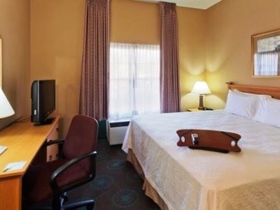 bedroom 2 - hotel hampton inn and suites phoenix-goodyear - goodyear, united states of america