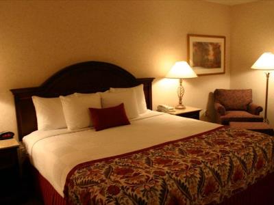 bedroom - hotel best western a wayfarer's inn and suites - kingman, united states of america
