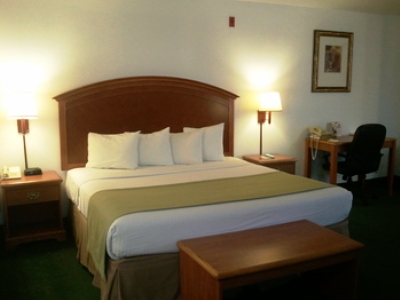 bedroom - hotel best western liberty inn - delano, united states of america