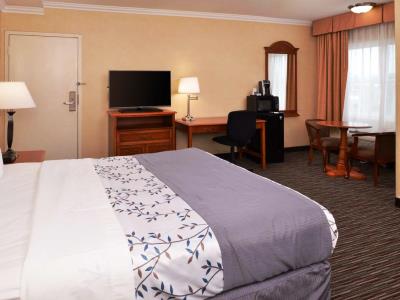 bedroom 2 - hotel best western airpark - inglewood, united states of america