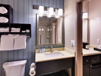 bathroom - hotel hampton inn morgan hill - morgan hill, united states of america